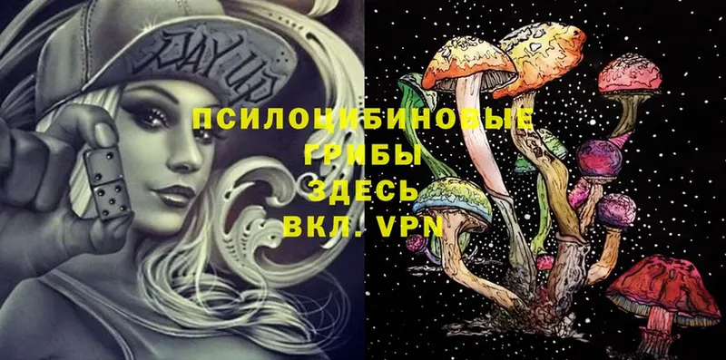 даркнет формула  Лениногорск  Псилоцибиновые грибы Psilocybe 